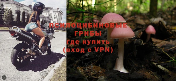 эйфоретик Вязьма