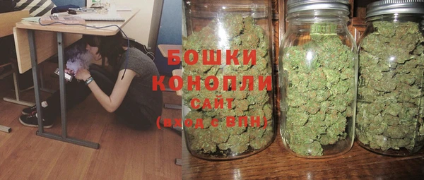 mdpv Вяземский