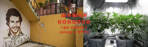 mdpv Вяземский